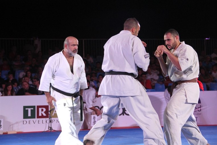 Martial Arts Festival